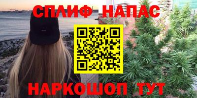 прущие грибы Коммунар