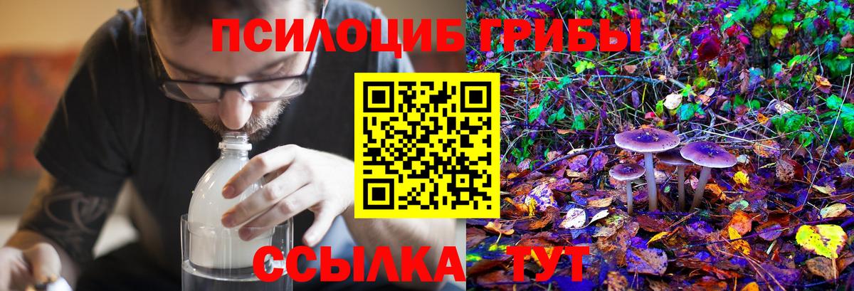 Галлюциногенные грибы Magic Shrooms Балтийск