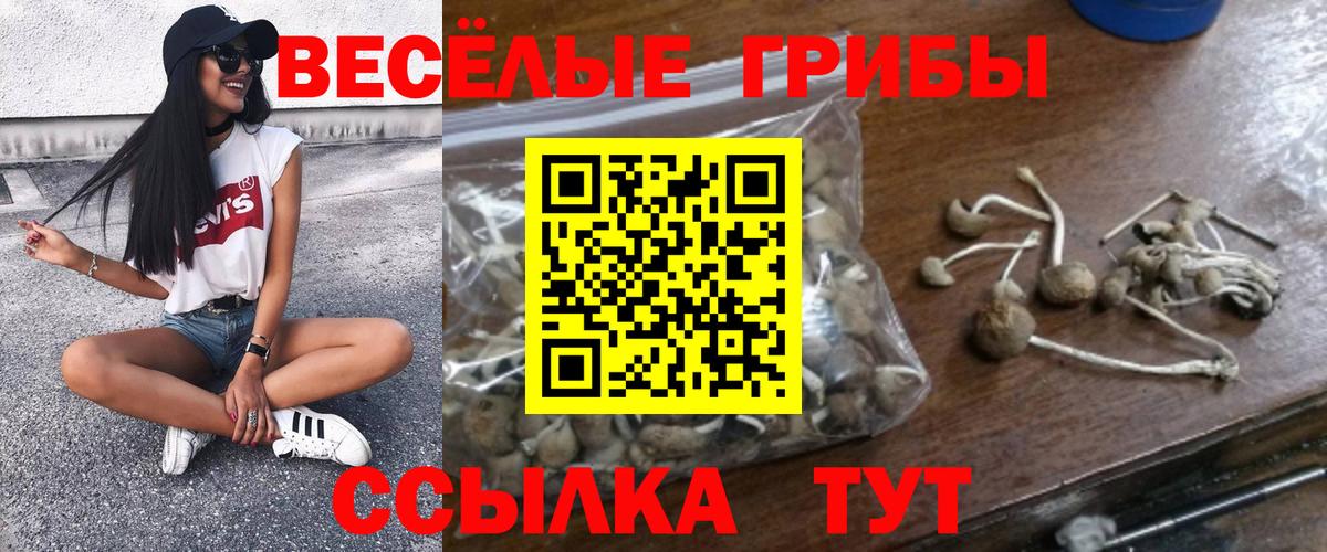 Балтийск  Псилоцибиновые грибы MAGIC MUSHROOMS  Вход с VPN 