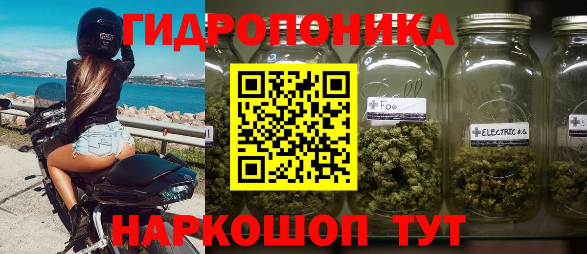 Шишки марихуана White Widow  Марихуана MAZAR  Вход с VPN  Балтийск 